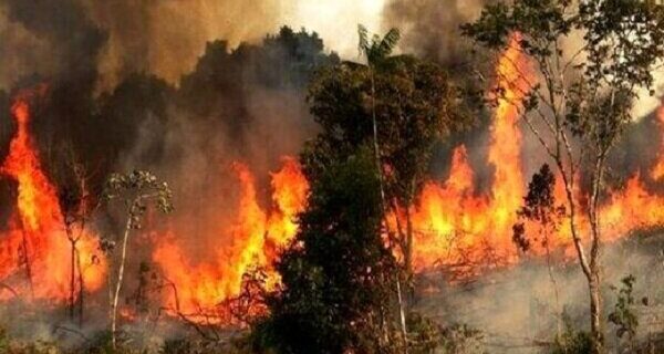 اطفاء آتش‌سوزی در مناطق طبیعی کلیبر با هواپیمای ایلوشین