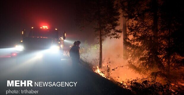 آتش سوزی های جنگل در کالیفرنیا صدها هکتار را خاکستر کرد
