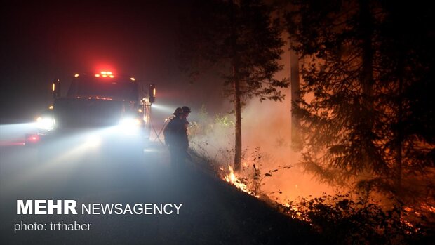 آتش سوزی های جنگل در کالیفرنیا صدها هکتار را خاکستر کرد
