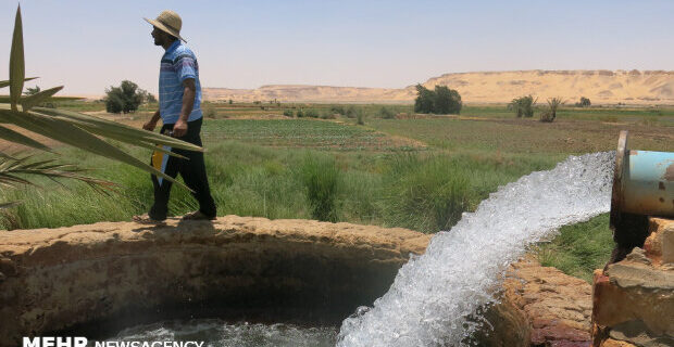 اجحاف به کشاورزان شمال خوزستان/نیشکر هفت‌تپه آب مازادبرداشت میکند