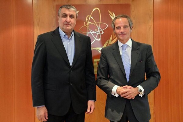 مدیرکل آژانس از دیدار با رئیس سازمان انرژی اتمی ایران استقبال کرد