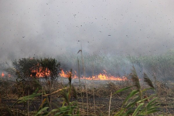 وقوع آتش‌سوزی در منطقه گردشگری «بنو» پارسیان