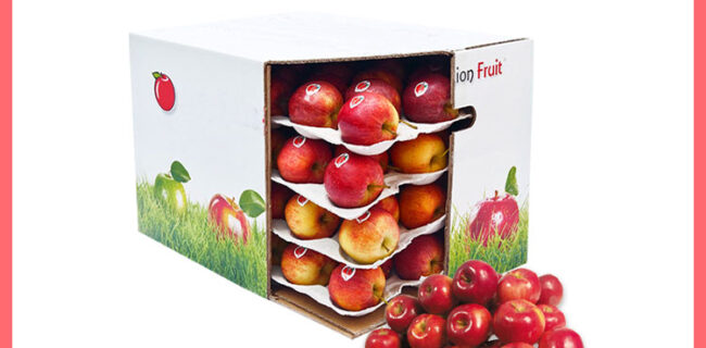 بهترین بسته بندی کارتنی سیب درختی صادراتی