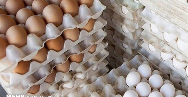 مصرف تخم مرغ در کشور ٢٠ درصد افزایش یافت/کمبودی در تولید نداریم