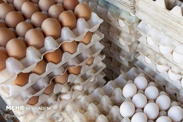 مصرف تخم مرغ در کشور ٢٠ درصد افزایش یافت/کمبودی در تولید نداریم
