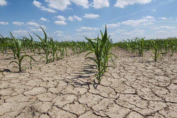 خشکسالی ۸۴۰ میلیارد تومان به استان سمنان ضرر زد