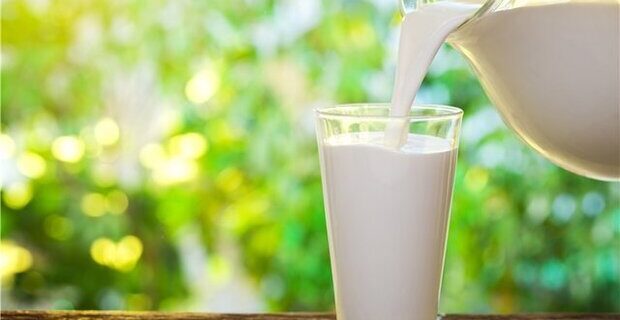 مصرف شیر احتمال سرطان پروستات را در مردان افزایش می دهد