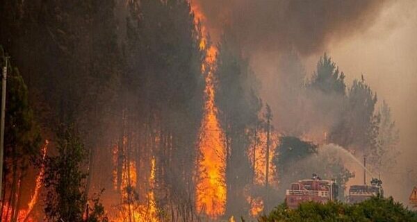 آتش‌سوزی‌های دامنه‌دار در  اروپا/ هزاران نفر تخلیه شدند