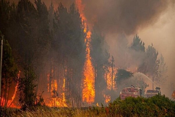 آتش‌سوزی‌های دامنه‌دار در  اروپا/ هزاران نفر تخلیه شدند