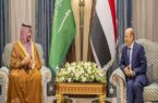 رایزنی عامل سرسپرده ریاض در یمن با وزیر دفاع عربستان