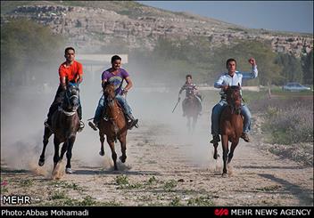 مسابقه اسب سواری در تربت جام برگزار شد