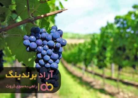 تجربه چراغی روشن در مسیر های تاریک