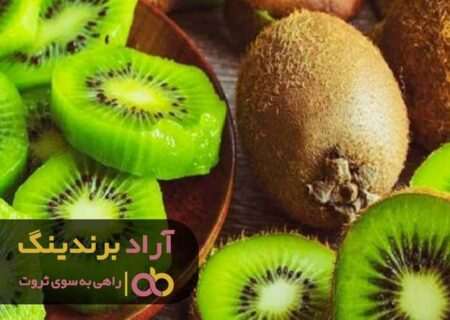 با بالا بردن کیفیت افکارتان به آرزوهایتان برسید