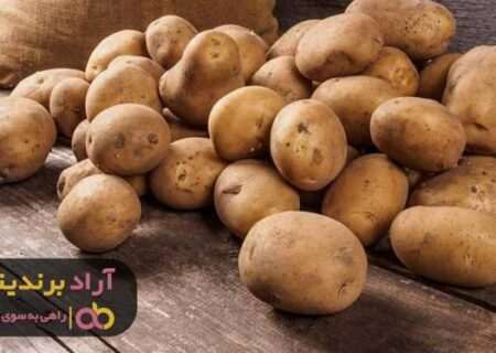 چگونه یک ذهنیت ثروت ساز داشته باشیم