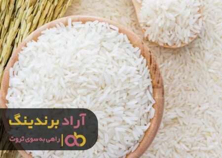 فقط خواستن تنها راه رسیدن به موفقیت نیست