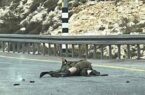 عملیات جدید مقاومتی در رام الله/نظامی صهیونیست بشدت زخمی شد+ فیلم