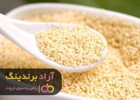 چطور یک ایده فوق‌العاده پول ساز پیدا کنیم؟