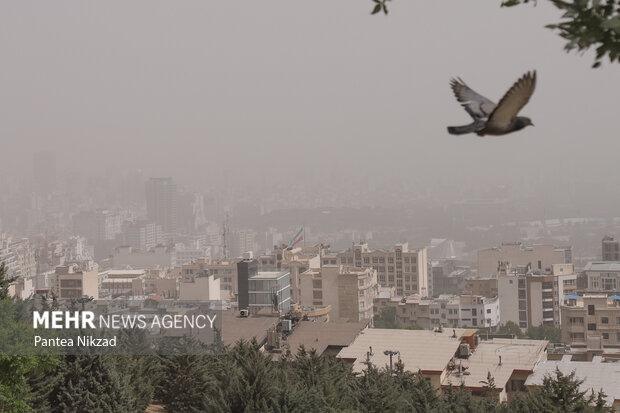فعالیت شهرداری تهران برای ایجاد هوای سالم به کجا رسید؟