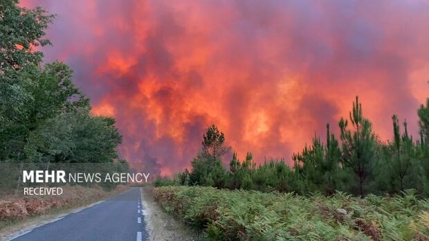 آتش سوزی گسترده جنگلی در جنوب فرانسه