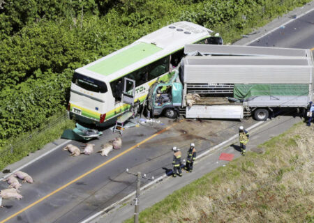 بر اثر برخورد کامیون با اتوبوس در هوکایدو ژاپن ۵ نفر کشته شدند