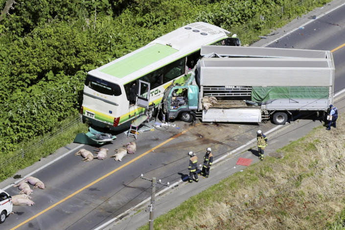 بر اثر برخورد کامیون با اتوبوس در هوکایدو ژاپن ۵ نفر کشته شدند
