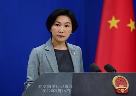 پکن: توافقنامه غلات به‌صورت متعادل، کامل و موثر اجرا شود