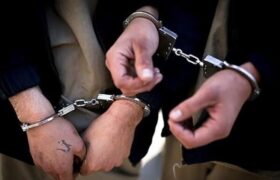 انجام ۳ ماموریت پلیسی در استان سمنان/سارق باغات انگور دستگیر شد