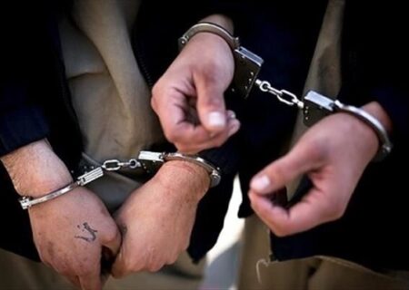 انجام ۳ ماموریت پلیسی در استان سمنان/سارق باغات انگور دستگیر شد