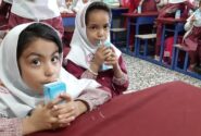 ضرورت اجرای طرح شیر مدارس با مشارکت بخش خصوصی