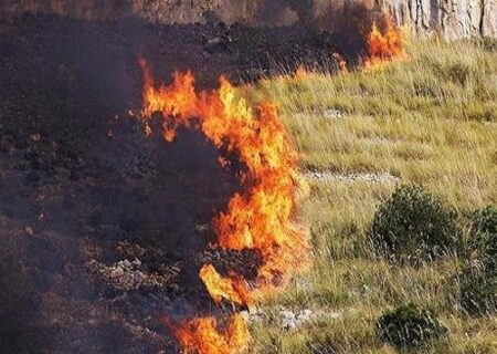 آتش سوزی جنگل های سیسیل ایتالیا مناطق مسکونی را تهدید می‌کند