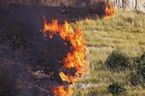 آتش سوزی جنگل های سیسیل ایتالیا مناطق مسکونی را تهدید می‌کند