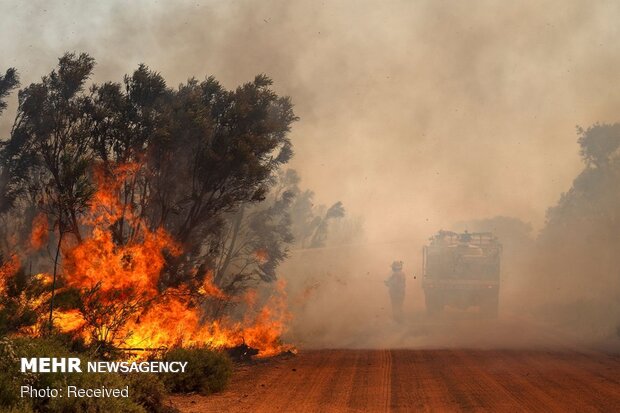 آلودگی ناشی از آتش سوزی جنگلی تهدیدی برای جهان است