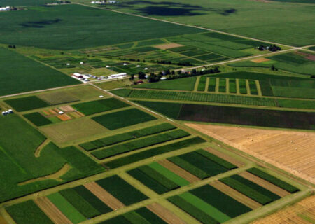 حداقل ۶۲ درصد اراضی کشاورزی کشور سند مالکیت تک‌برگ ندارند