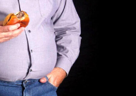 چاقی و رژیم غذایی پرچرب پیری مغز را تسریع می کند