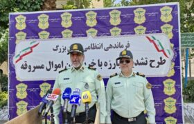 دستگیری ۲۲۹ سارق/ پیشنهاد جدید پلیس درمورد پابند الکترونیک
