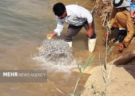 یک میلیون قطعه بچه ماهی در تالاب کارون رهاسازی شد