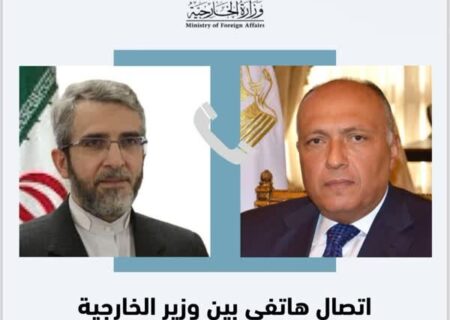 گفت‌وگوی وزیر خارجه مصر و علی‌باقری درباره بهبود روابط دوجانبه