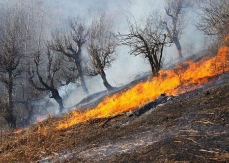 مهار آتش‌سوزی های جنگلی در غرب و جنوب غرب کشور